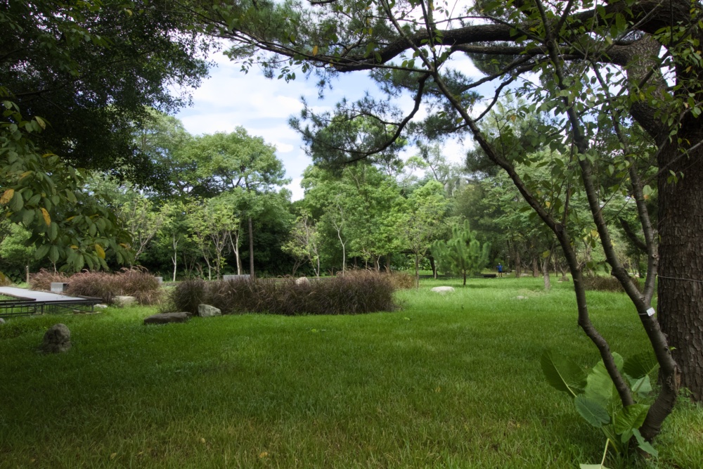 大湳森林公園 森林學堂
