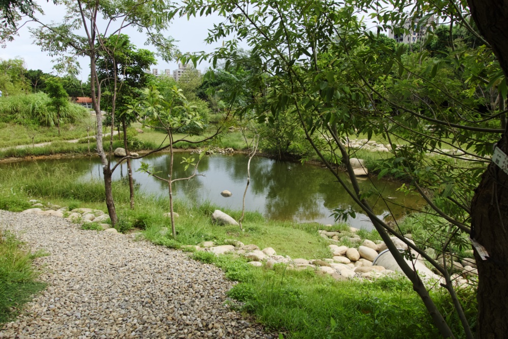 大湳森林公園 中央水池