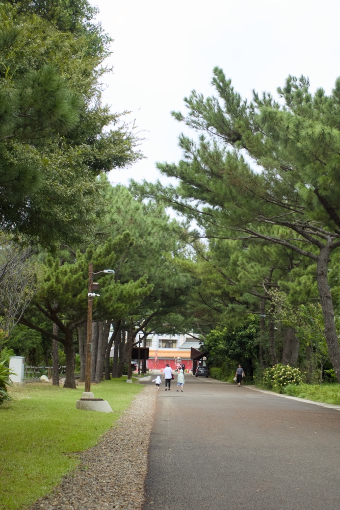 大湳森林公園北區入口處