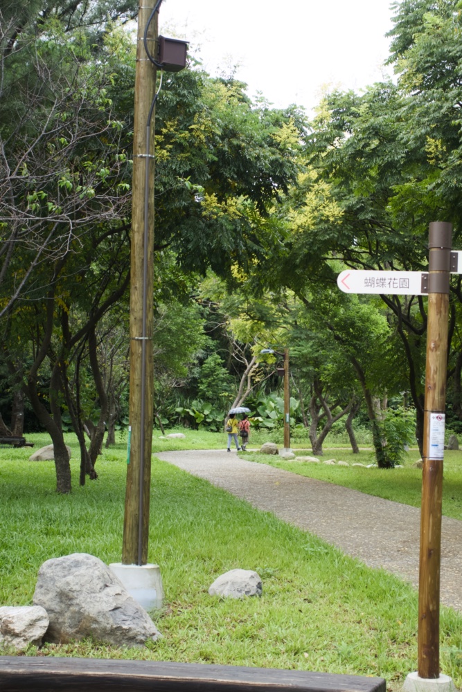 大湳森林公園蝴蝶花園