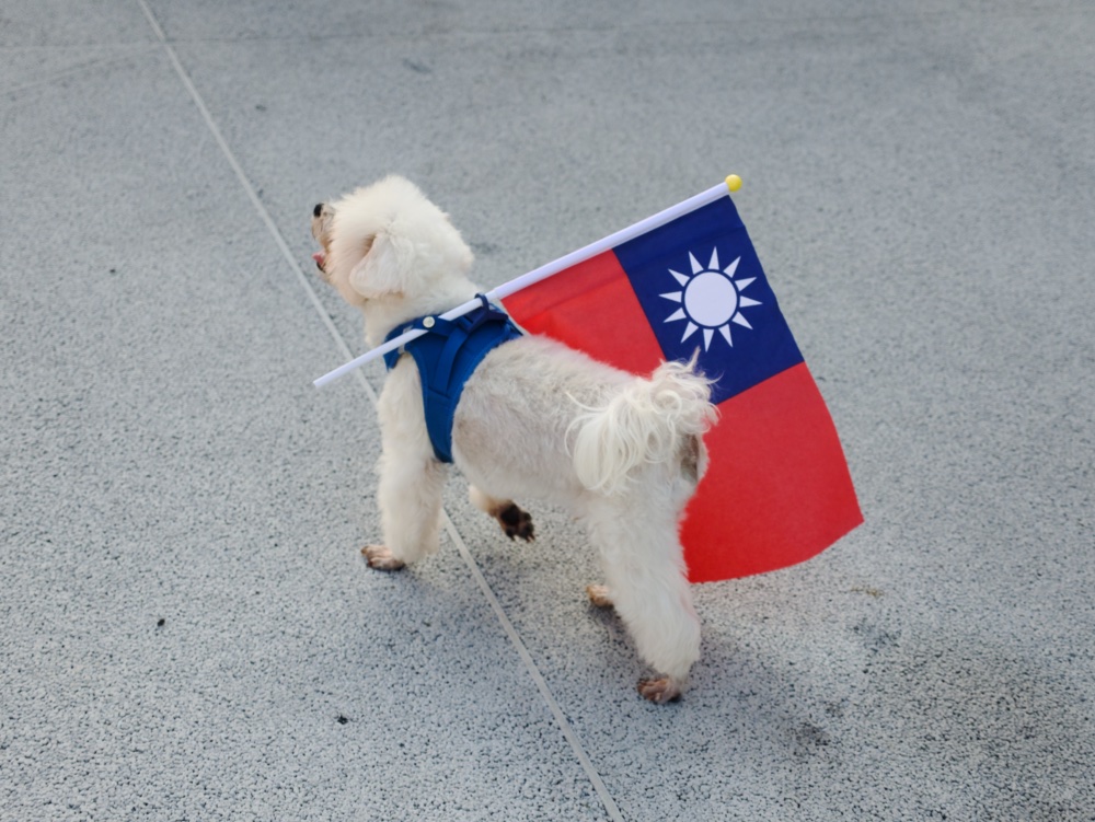 國慶日中原文創園區可愛的小狗